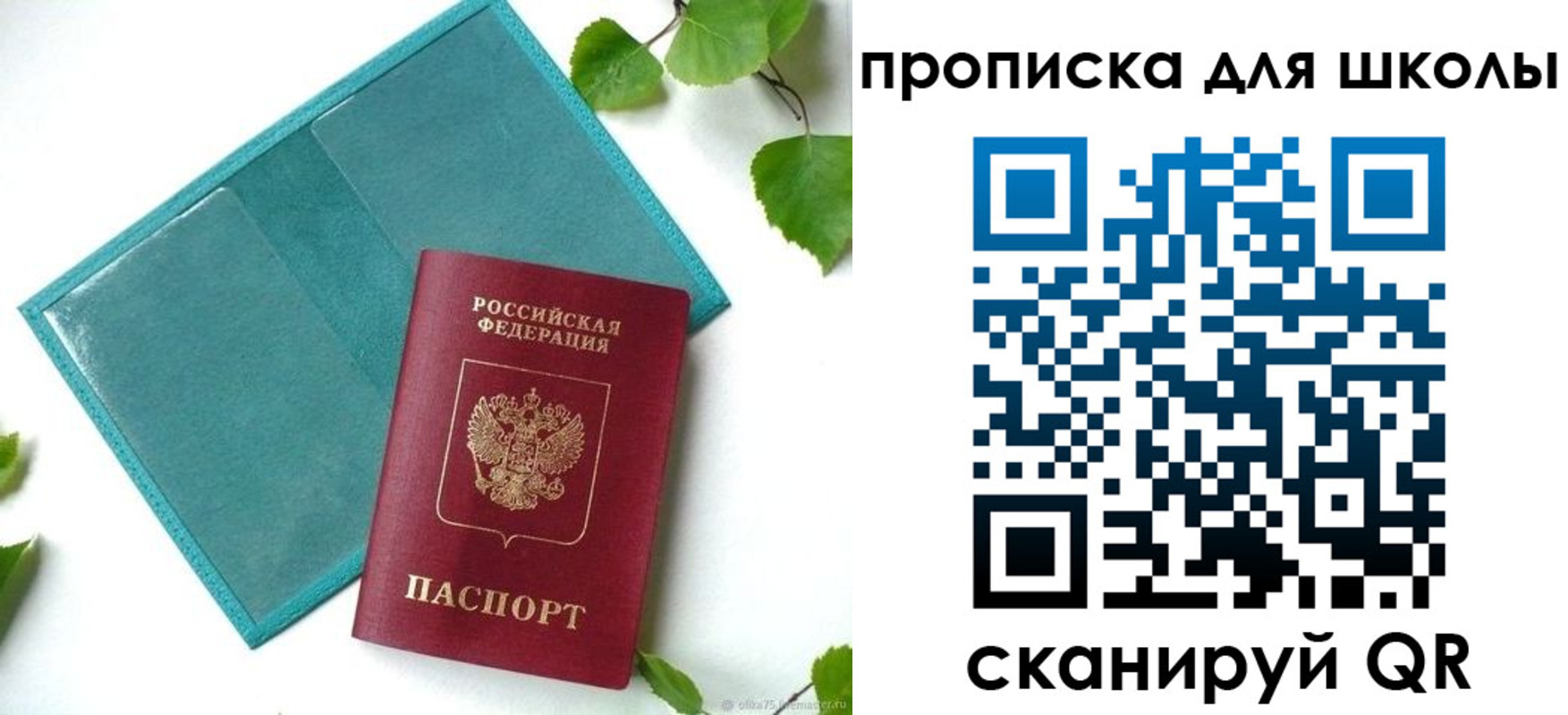 прописка в Звенигово