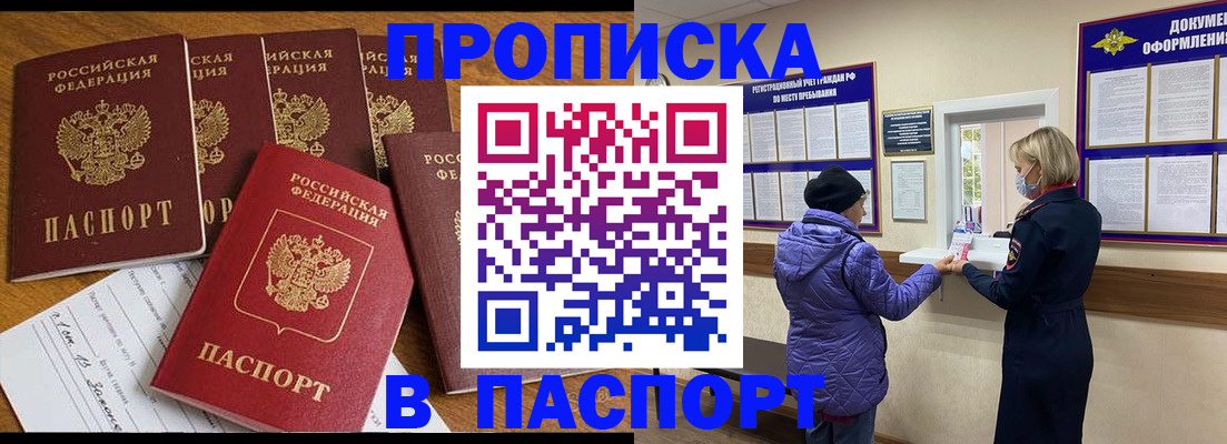 прописка 2025 в Звенигово